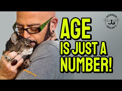 3 Tips for Healthy & Happy Senior Cats