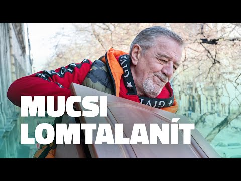 Mucsi lomtalanít I Ferencváros Önkormányzata