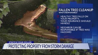 Protecting property from storm damage | Stretch Your Dollar