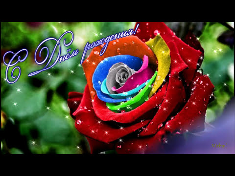 Поздравим Аллу с днём рождения!