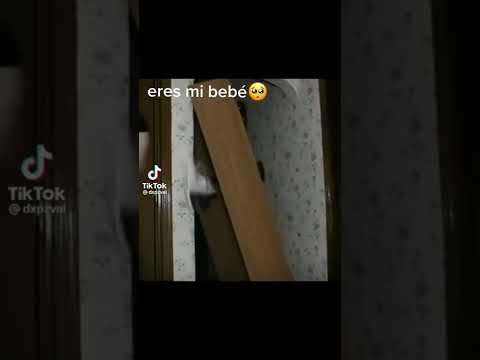 eres mi bebé ☺️ mi bebito fiu fiu #meme #humor