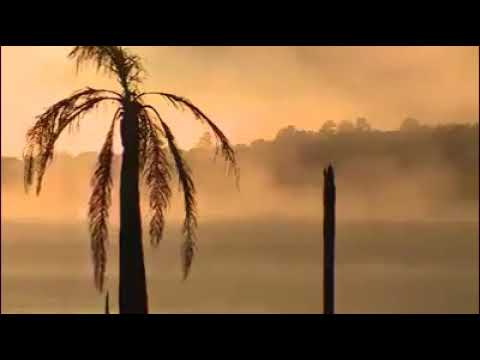 Los comandos sinfonia