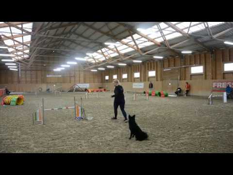 Topi Jumping futam I   TordasZoo Téli kupa 20191109