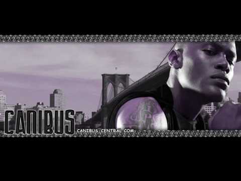 Canibus - Freestyle- ft. Jeymes Samuel on Tim Westwood's Show