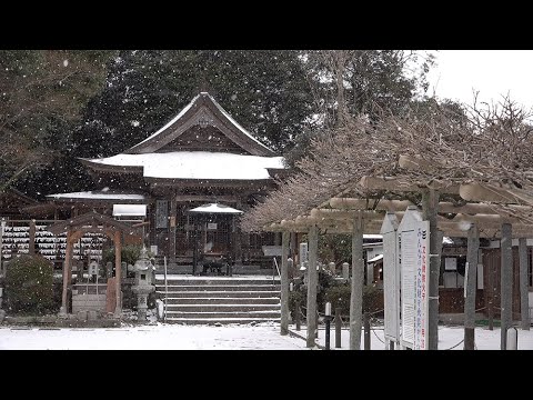 天拝山歴史自然公園と武蔵寺