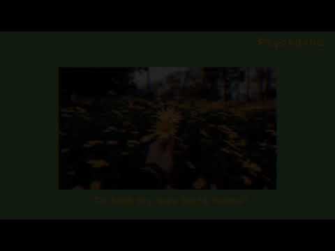 DominusBeats - to find my way back home 💕