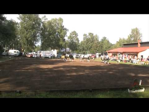 RFV Clenze Junioren - A-Dressur für Mannschaften in Dannenberg 2011...