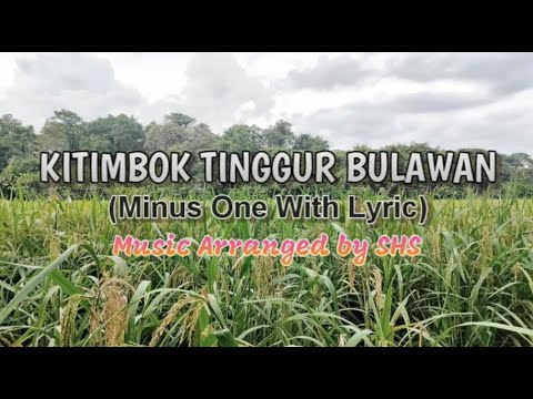 Kitimbok Tinggur Bulawan [Karaoke] | Cover music by SHS