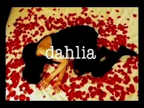 dahlia / Beautiful, but Noir