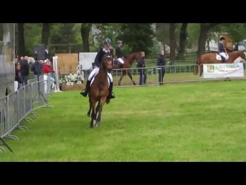 Stylypso (v. stalypso) M springen CH Oranjewoud