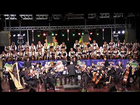 sjoenkel wals medley met ronald & carien movie