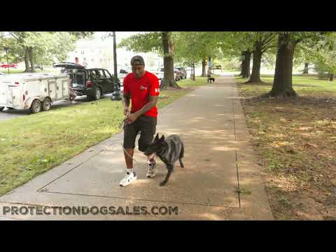 Day In The Life With "Darryl" Out and About On The Town