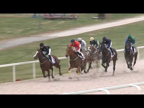 2021.04.18. 05. futam - KÁPOSZTÁSMEGYERI DÍJ (HUN Gd-3) (szintetikus pálya)