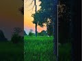 Tere Mere Hothon Pe Song Latamangeshkar Song Morning Status Nature New Short