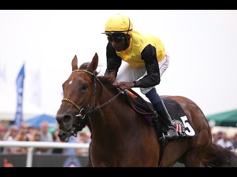 Hamburg: Hologram Company Brand-Protection-Cup (D) - Siegerin: Win for life