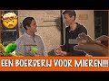 BEGIN JE EIGEN MIERENKOLONIE!!! ??| DierenpraatTV