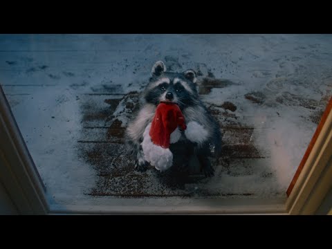 A Magical Christmas | Lidl Ireland