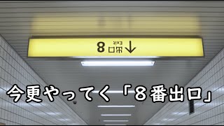 【８番出口】今更やってく８番出口　無限ループ舐めてた【配信#13】2024,3,12