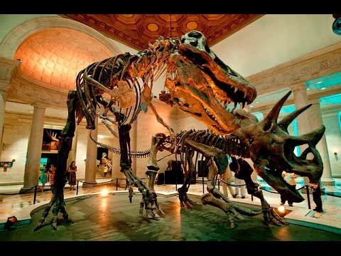 Promotional video thumbnail 5 for So Cal Mobile DJ