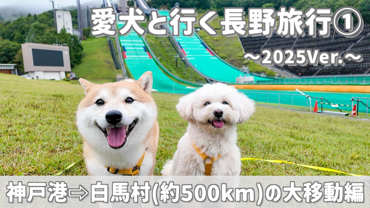 【長野旅行①】約500kmの大移動！白馬ジャンプ競技場は想像以上の大きさで壮大でした⛷️【＃119】