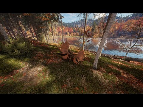 COTW Max Score Diamond Moose vs Zarza-10  .308