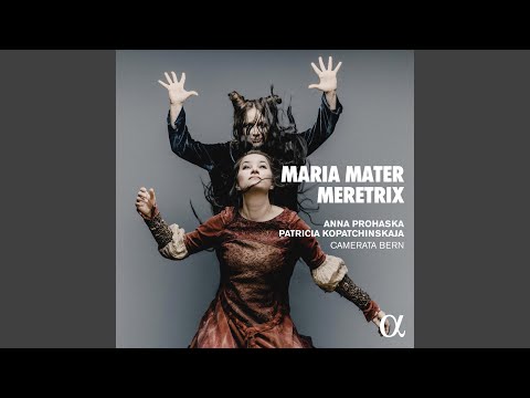 Anna Prohaska performs 'Maria durch ein Dornwald ging' with Patricia Kopatchinskaja  and Camerata Bern Thumbnail