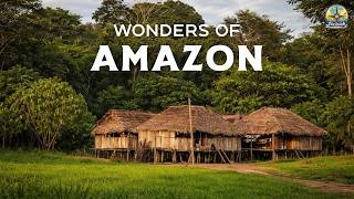 Wonders of Amazon | Nature’s Most Dangerous Paradise | Travel Video 4K