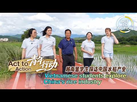 Act to Action: Vietnamese students explore China's rice industry