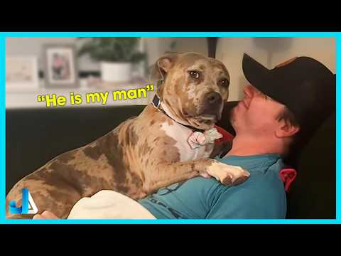 😂 When your DOG loves your BOYFRIEND more than you 🐶 Funny Dog Videos 2026