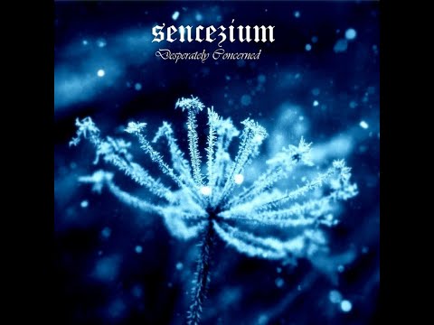Sencezium - Desperately Сoncerned (Full Album)