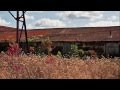 VIDEO. The steel yard. Klopfer Martin. Providence. United States