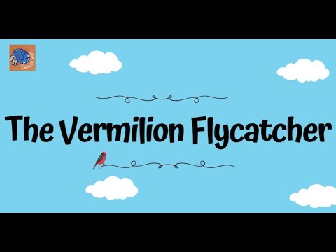 🦜Birds of a Feather: Vermilion Flycatcher