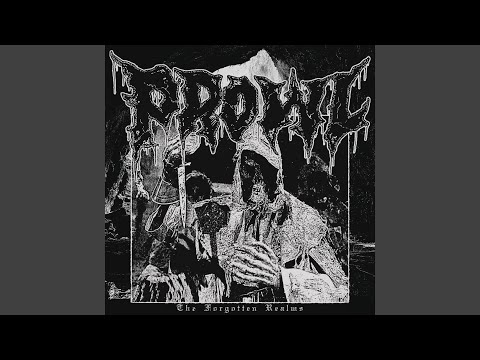 The Forgotten Realms