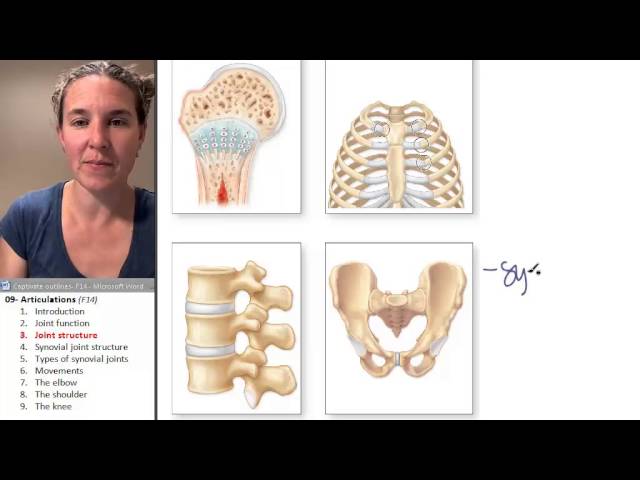 Pronúncia de vídeo de diarthrosis em Inglês