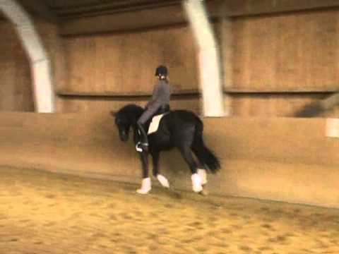 Fürstenball Ehrentusch komplett