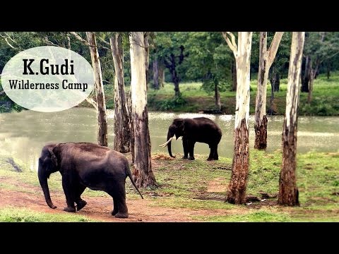 download lagu mp3 mp4 Jungle Lodges Resorts K Gudi, download lagu Jungle Lodges Resorts K Gudi gratis, unduh video klip Jungle Lodges Resorts K Gudi