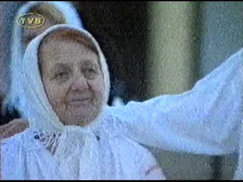 NA SRED SELA KOLO IGRA - BRESTOVAC KOD BORA (VlaskiMelos)