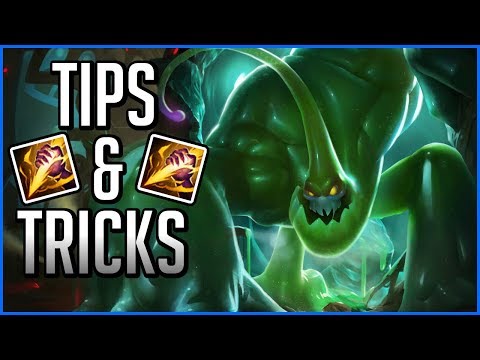 Zac Jungle Tips & Tricks Guide ft. Nasteey - League of Legends