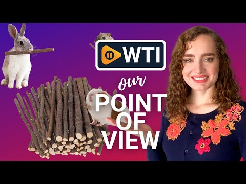600g Apple Chew Sticks - WTI product video review