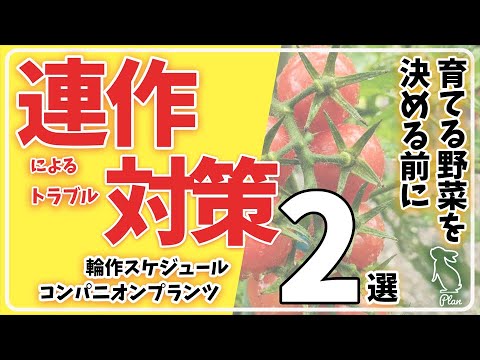 菜園の輪作計画：メリットは何ですか？  庭園