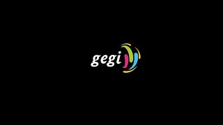 Gegi Şirket Organizasyonu