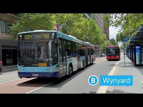 Transport for Sydney Vlog 379: Wynyard Buses
