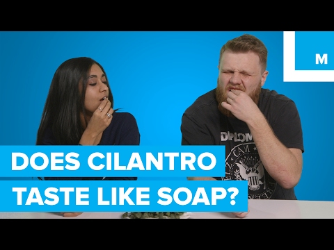 download lagu mp3 mp4 Ginger Tastes Like Soap, download lagu Ginger Tastes Like Soap gratis, unduh video klip Ginger Tastes Like Soap