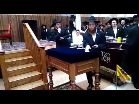 חלוקת דולרים להוספה בצדקה יום א' כ"ב טבת