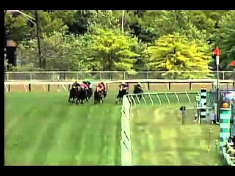 Pimlico 05/15/15 - race 1