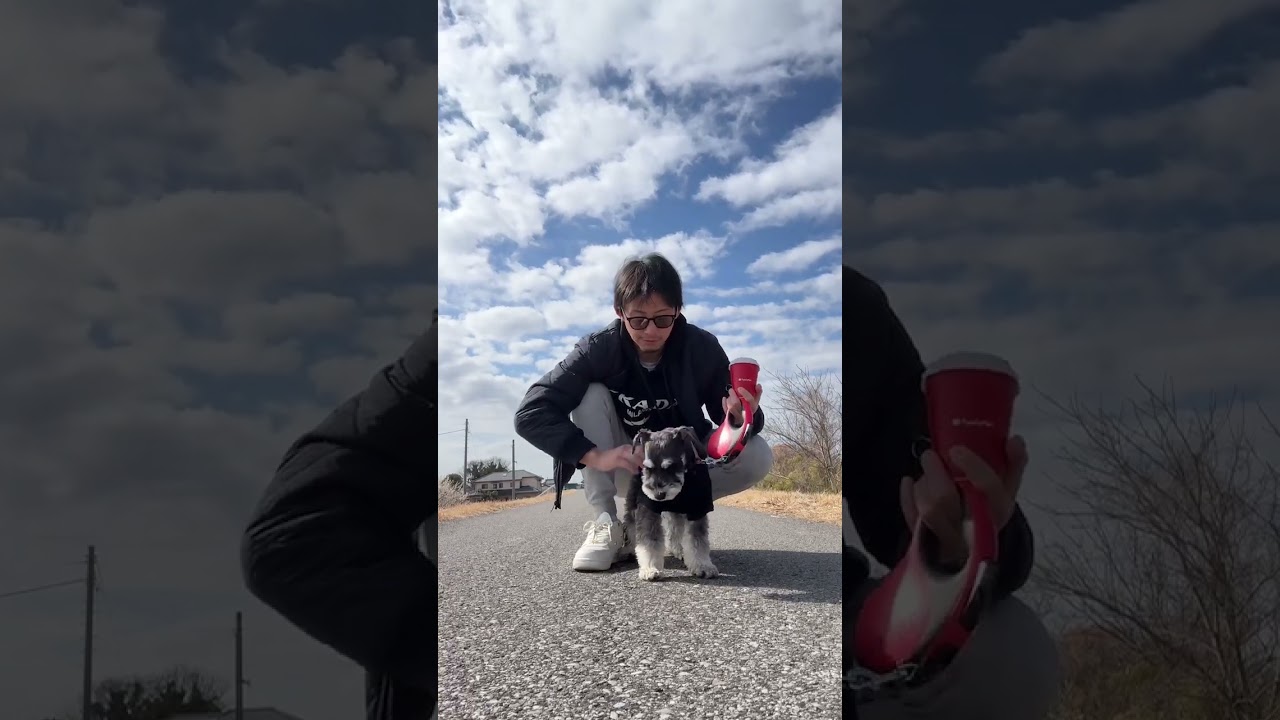 ラッド会長と散歩してみた