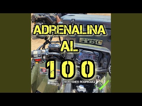 Adrenalina al 100