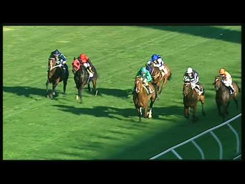 Galoppo 23/11/2020 - 3ª corsa