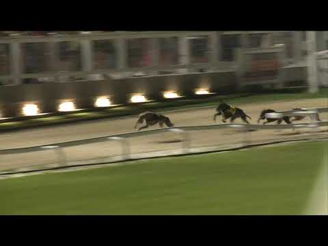 2020.08.21. 01. futam - Silver Gate Díj