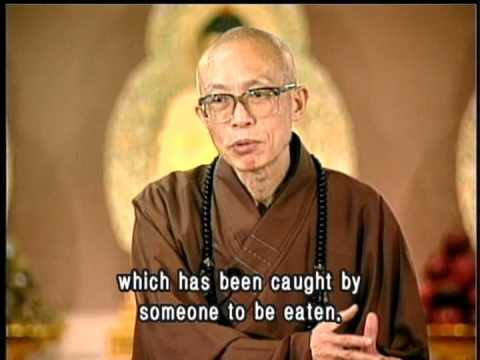 Freeing captive animals—its meaning and methods(GDD-131, Master Sheng Yen)